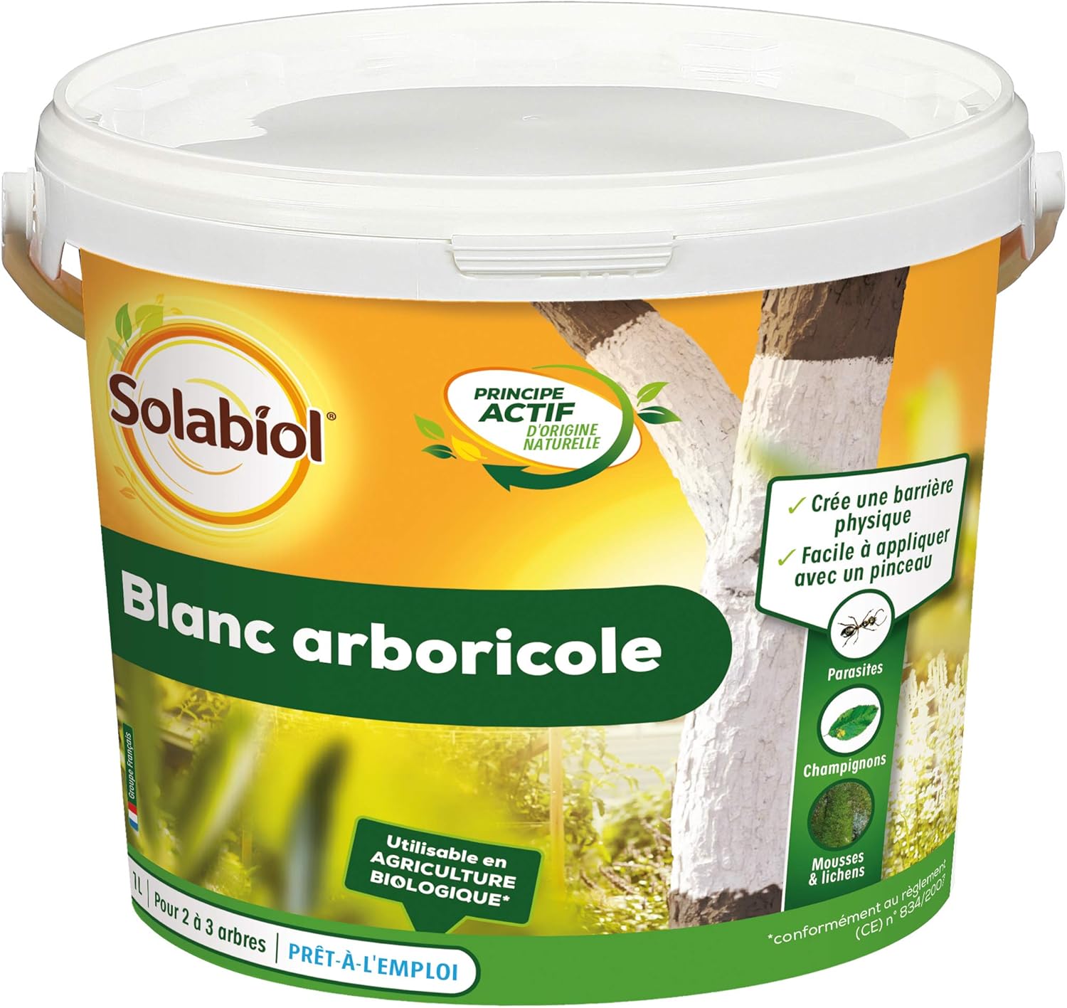 Protection des Arbres Blanc Arboricole - Seau 3L - Barrière Physique Contre Les parasites, des Champignons, mousses - 6 à 9 Arbres SOBLANC3 Blanc Arboricole 3L