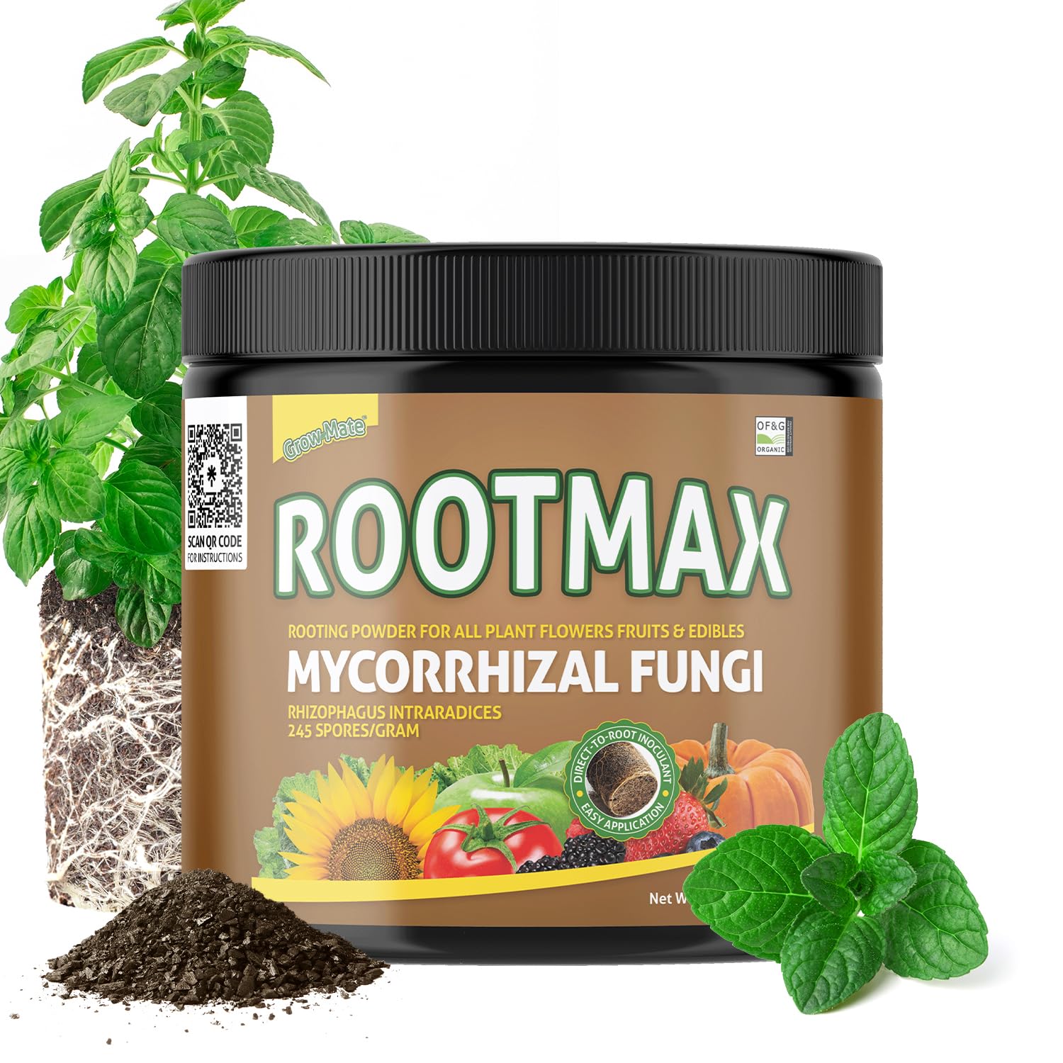RootMax - Poudre d'enracinement des champignons mycorhiziens - 50 fois plus puissante hormone de bouturage pour les boutures - Formule améliorée pour 5x racines et rendement maximum [200G] 200 Gram