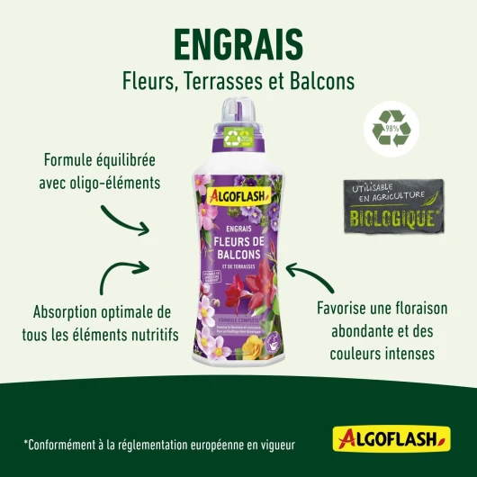 71BB2eoV2pL._AC_SL1500_