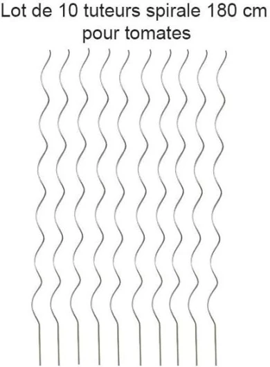 Lot de 10 Tuteurs spirale 180cm pour plants de tomates en acier galvanisé