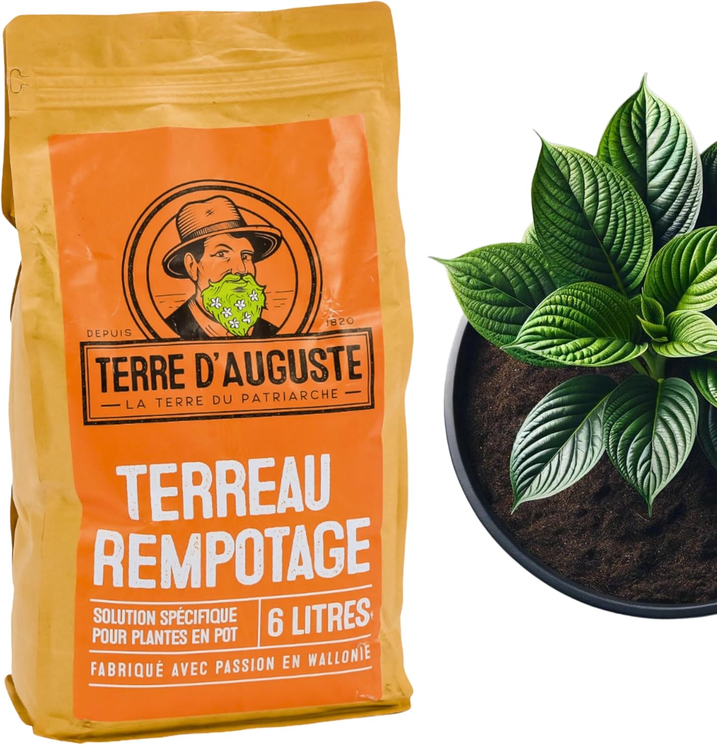 Terre D'AUGUSTE - Terreau Rempotage 6L avec Fermeture Eclair Refermable - Solution Spécifique pour Plantes Vertes & Fleuries en Pot - Toutes Les Variétés de Plantes d'Intérieur & Palmiers