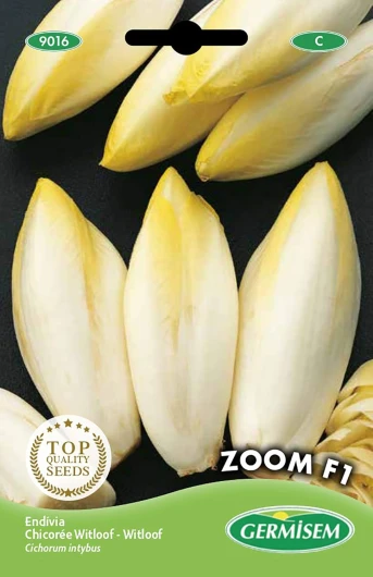 Germisem graines Chicorée Witloof Zoom F1 EC9016