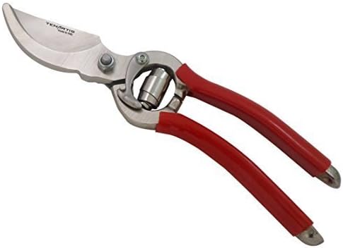 254 Sécateur Professionnel pour Olivier 23 cm - Fabriqué en Italie