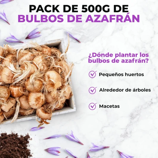81E1zhfIApL._AC_SL1500_