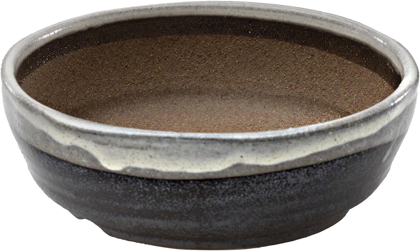 Pot à Bonsaï en Céramique Émaillée avec Trou Drainage 17 cm, Fabriqué au Japon, Pot de Fleurs Japonais, Bol pour Plantes, Sable Beige avec Bande Blanche, Artisanat de Style Shigaraki Sable Beige avec Bande Blanche Standard