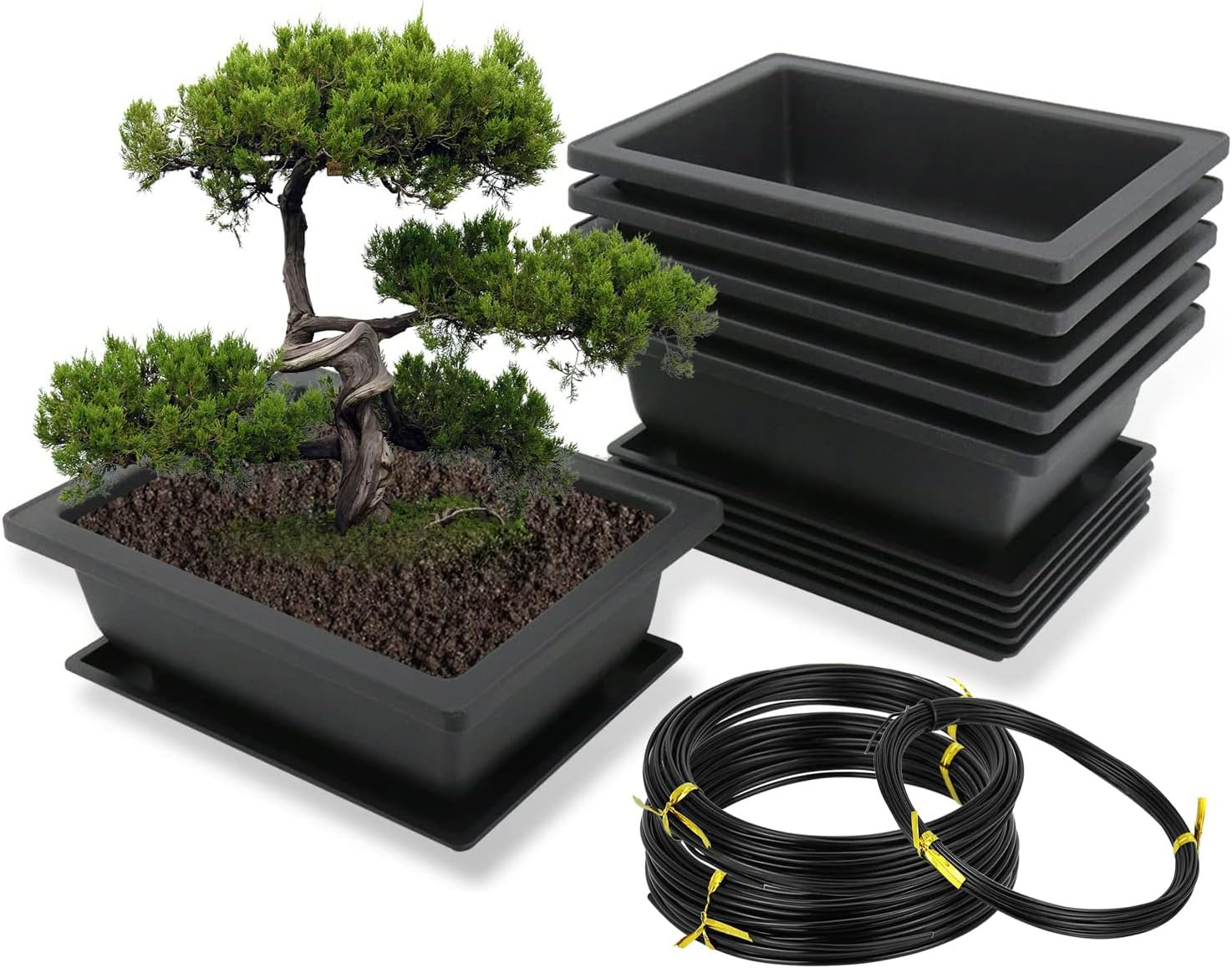 MissFox Lot de 6 Pots Rectangulaires pour Bonsaï avec Soucoupe, 16x12x6cm, Pots de Fleurs en Plastique avec Fil en Aluminium 1.5mm/2.0mm/3.0mm pour L'Entretien S/16x12x6cm 6 Pots de Fleurs, 6 Plateaux et 3 Fils pour Bonsaï