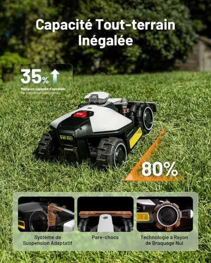 91nekLuOoDL._AC_SL1500_