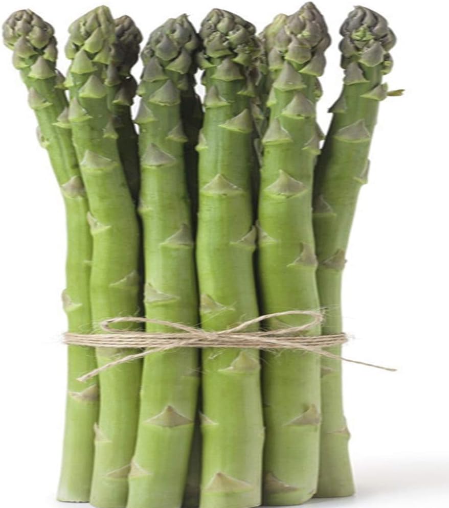 Racines d'asperges - Couronne de racines nues biologiques résistantes au froid - Légumes délicieux - Fleurs de décorations de bonsaï/Plantes en pot/Fleurs d'embellissement de jardin (6, vert) 6 vert