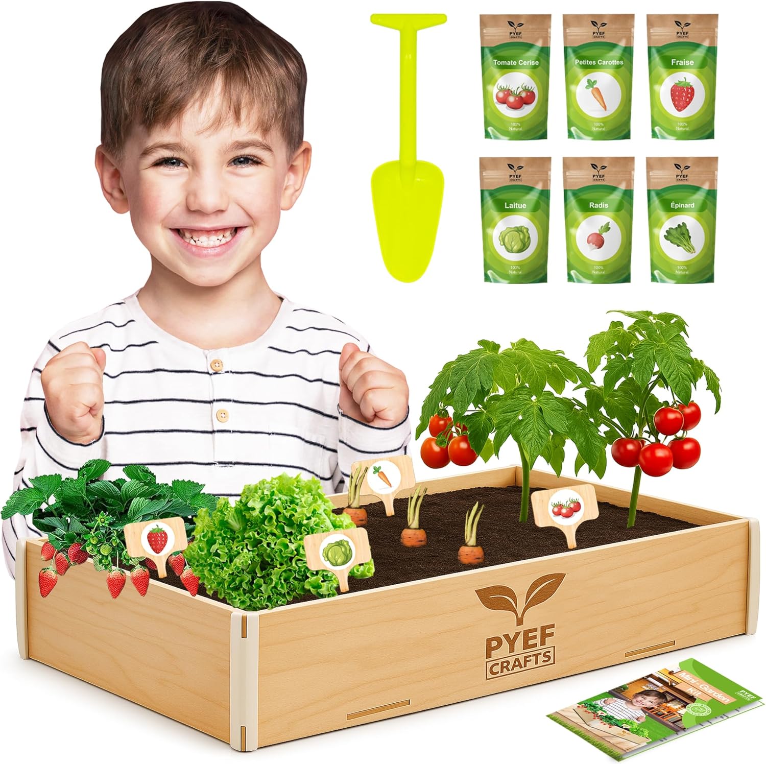 Kit Jardinage Enfant Plante à Faire Pousser - Kit Prêt à Pousser Interieur - Plantation Enfant Graine Potager - Potager avec 6 Variétés de Graines Légumes