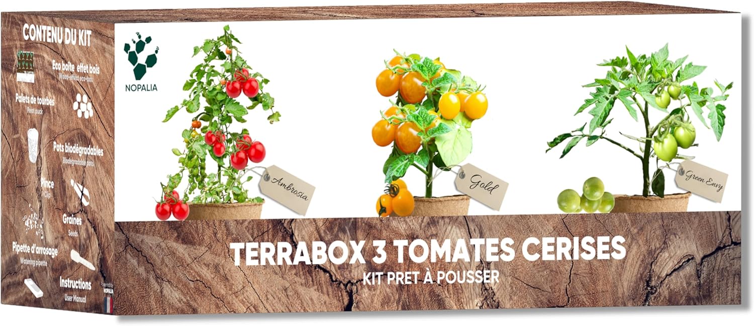 Kit Tomates Cerises Bio – Mini Potager Intérieur (Green Envy, Ambrosia, Gold Nuggets) – Cadeau Jardinage Enfant & Adulte – Culture Facile & DIY – Décoration Maison & Bureau – Made in France