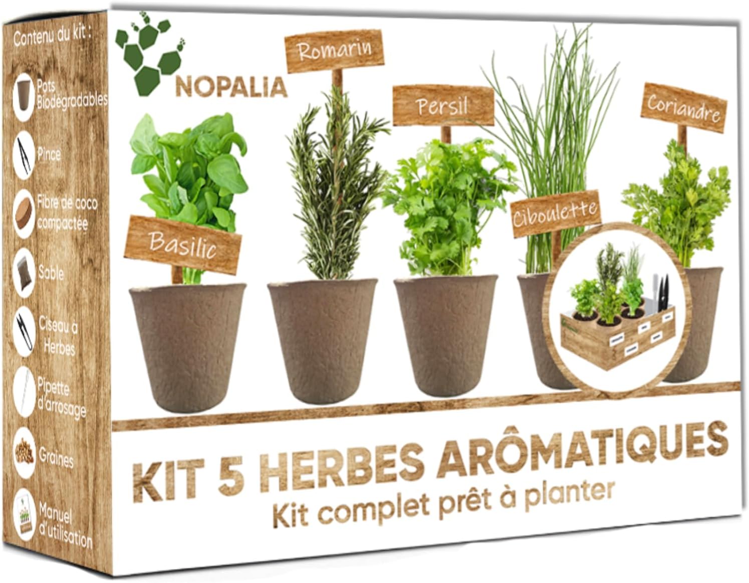 ® Kit Herbes Aromatiques - Mini Kit Complet Prêt à Pousser - Mini Potager Intérieur - Graines Herbes Aromatiques à Planter - Idée Cadeau Cuisine - Romarin Coriandre Ciboulette Basilic Persil Kit Herbes Arômatiques