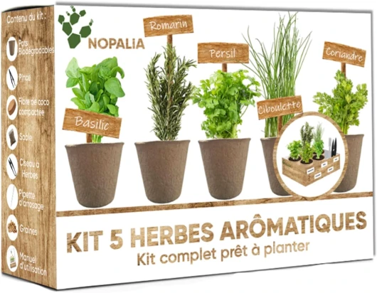 ® Kit Herbes Aromatiques - Mini Kit Complet Prêt à Pousser - Mini Potager Intérieur - Graines Herbes Aromatiques à Planter - Idée Cadeau Cuisine - Romarin Coriandre Ciboulette Basilic Persil Kit Herbes Arômatiques