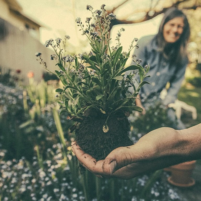 Créer un arbre à chat en bois flotté pour votre jardin