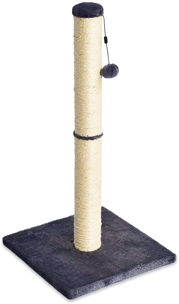 Arbre à chat d'intérieur standard avec jouet suspendu, gris, 80 cm Norme (80 cm)