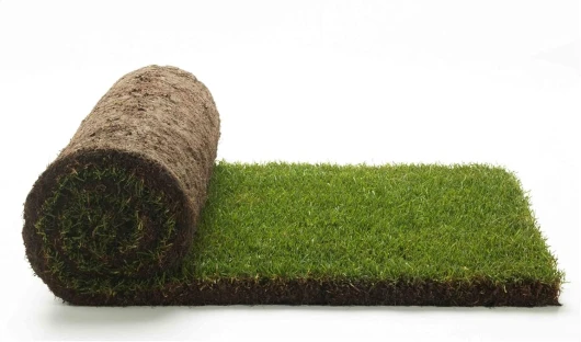 Gazon naturel véritable - Gazon naturel véritable prêt à l'emploi, gazon de jardin, 40 cm x 123 cm, vraies plantes