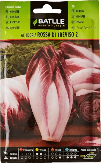 Semences potagères de Batlle - Chicorée Rossa di Treviso (8g)