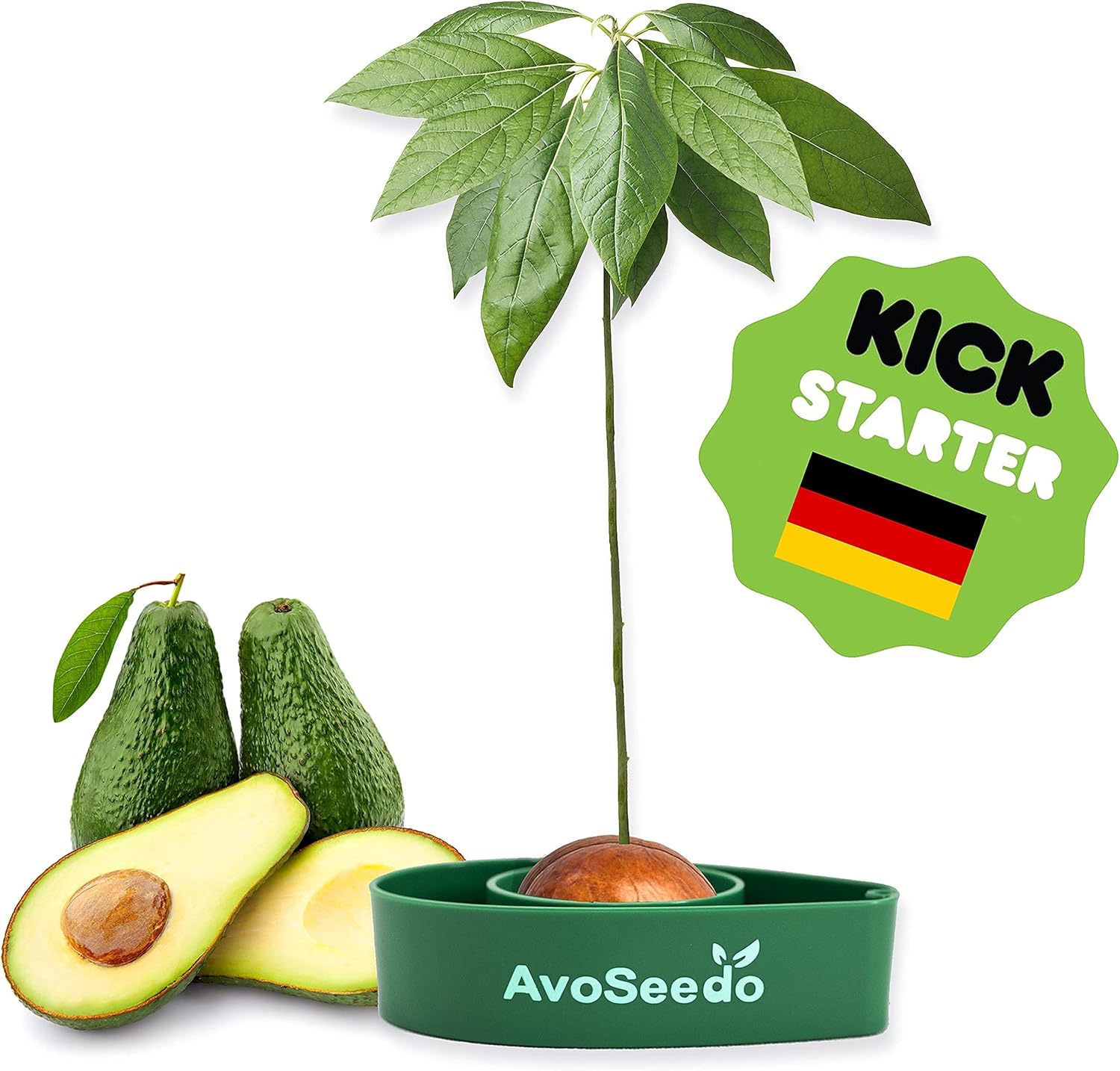 AvoSeedo Faire Pousser Votre Avocatier - Kit Jardinage et Idee Cadeau Femme Original - Coffret Cadeaux Plante Anniversaire Homme - Potager, Plantes Vertes d' Intérieur et Extérieur - Gadget Insolite