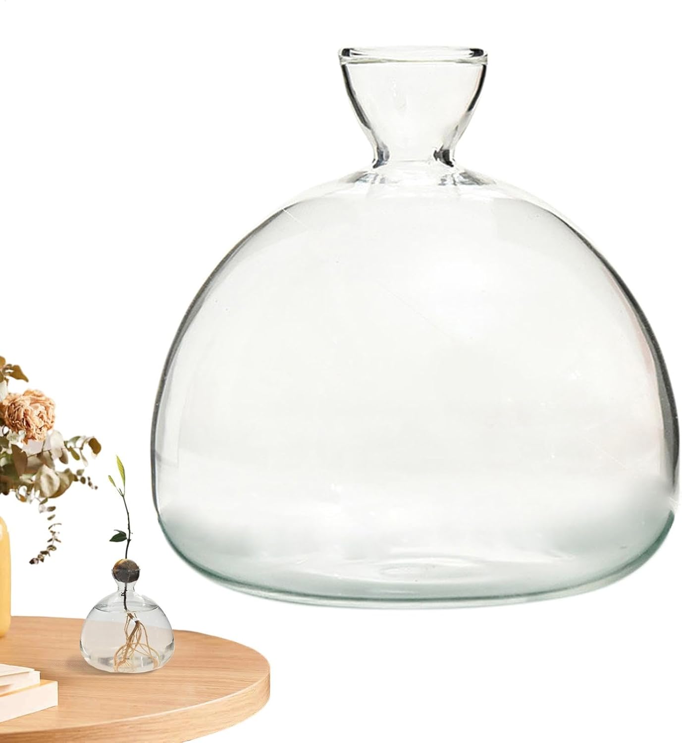 Vase À Avocat, Kit De Culture D'avocatier Transparent, Vases en Verre, Vase De Culture D'arbres, Pot De en Verre, Petit Pot De pour L'enracinement De l'eau Et La Décoratio D: Small avocado vase