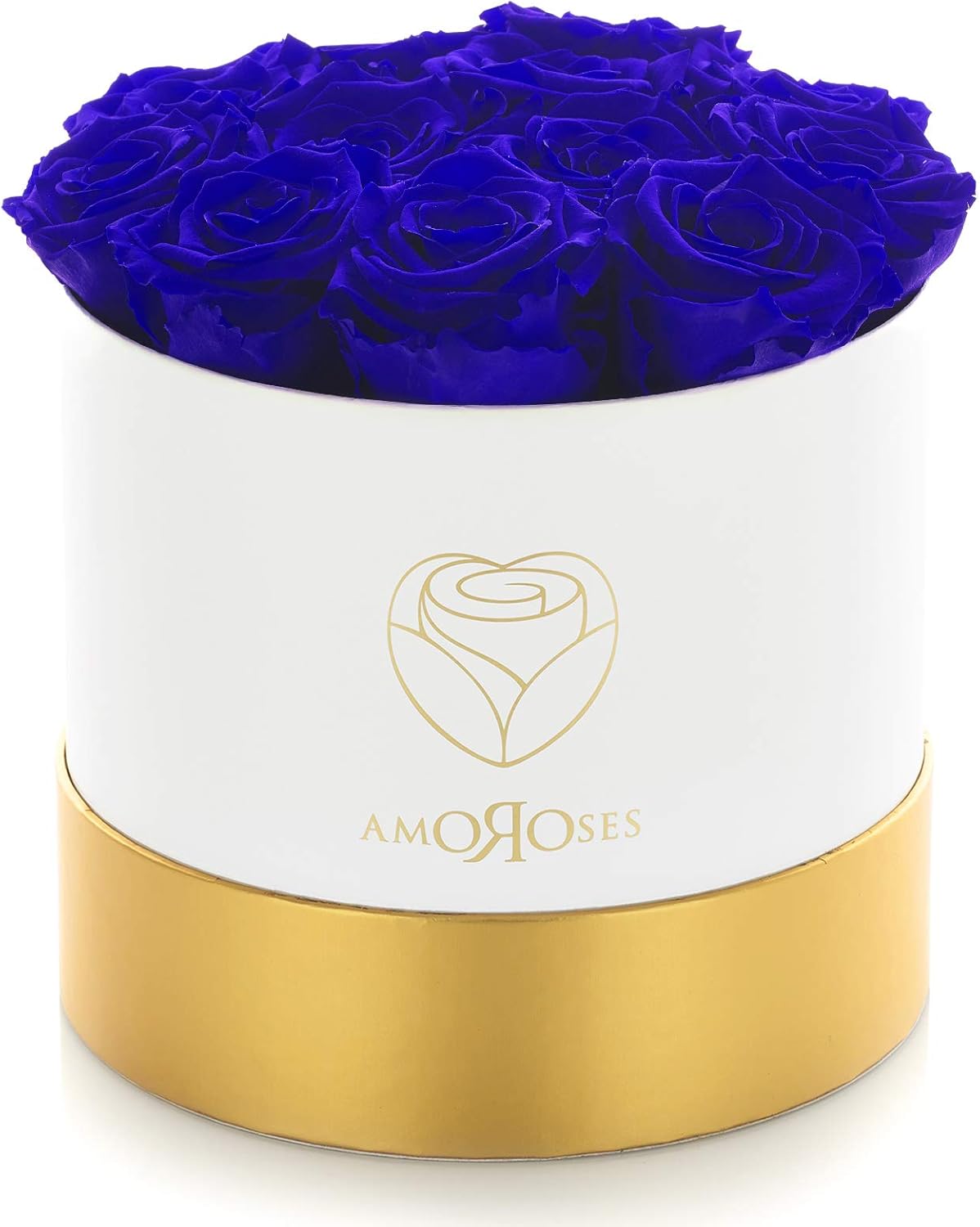 Limited Edition - Boîte cadeau 12 Roses Éternelles Stabilisées - Elégant Bouquet de Fleurs Véritables (Boîte Blanche avec Roses Bleues)