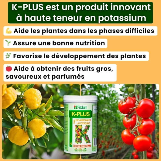 81aKUewu7sL._SL1500_