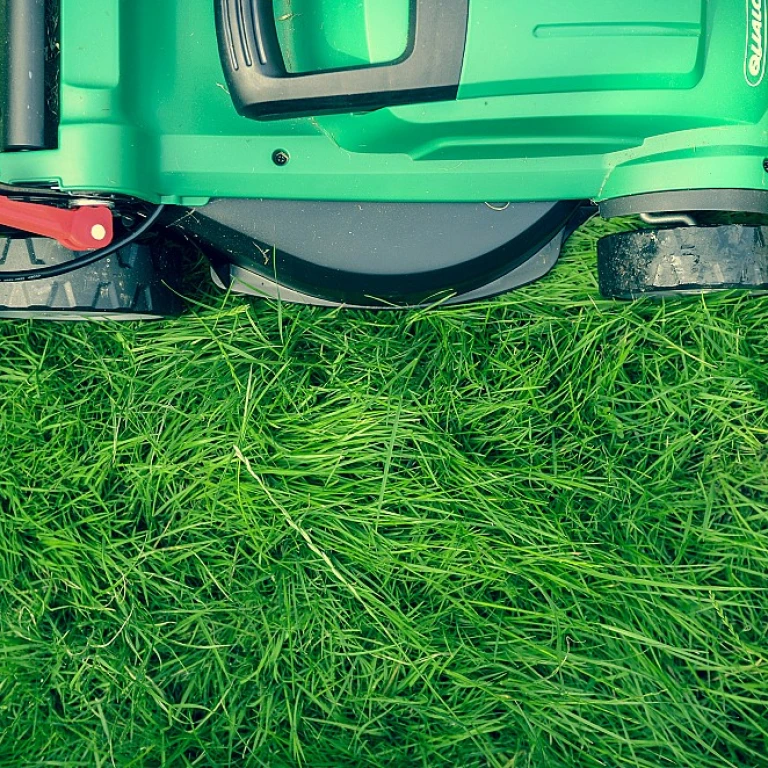 Optimisez votre espace extérieur avec un abri de jardin Duramax