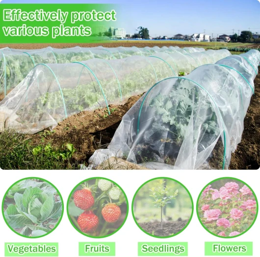 81DzIZGQxSL._AC_SL1500_