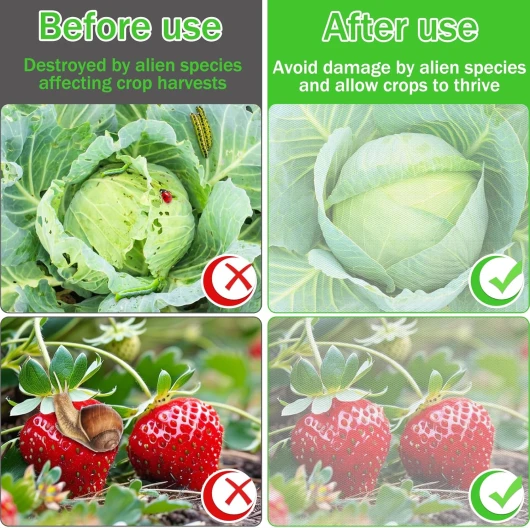 81yOgvIyLJL._AC_SL1500_