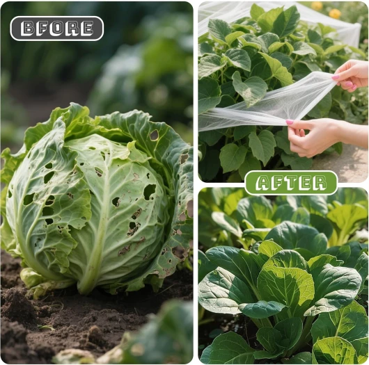 81VyotIa34L._AC_SL1500_