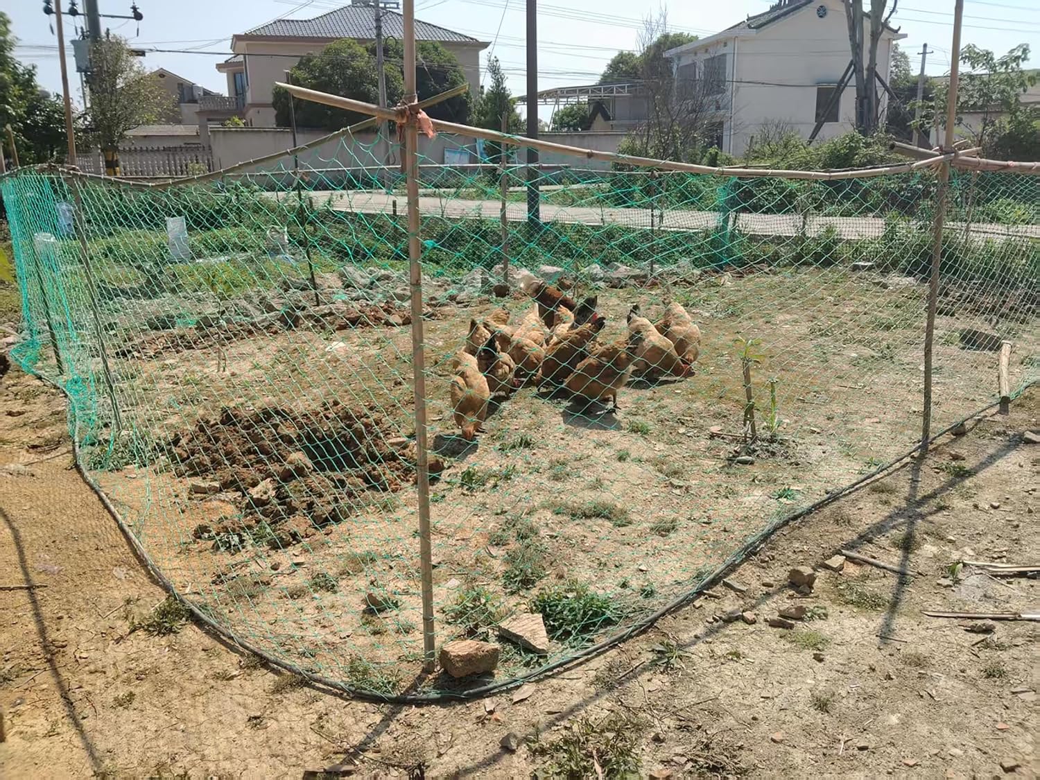 LINSOCLE Filet Poulailler - Filet de Volière Clôture Jardin Résistant, Maille de 5 cm - Clôture Mobile Protection pour Poules Chat Volaille et Potager (1.5m x 25m, Vert)