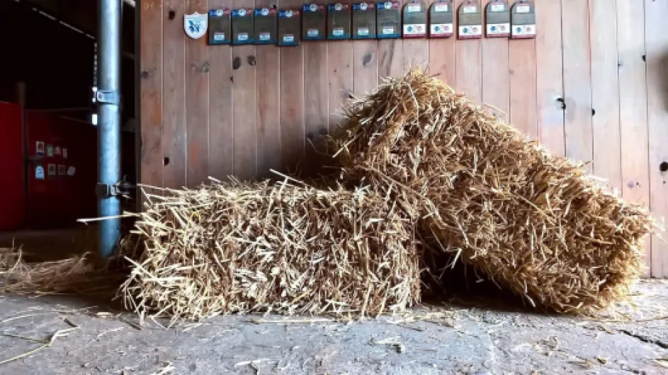 Le Petit Ballot Ballot de Paille de blé - 10 à 12kg - Naturel - 60x 40x 50cm