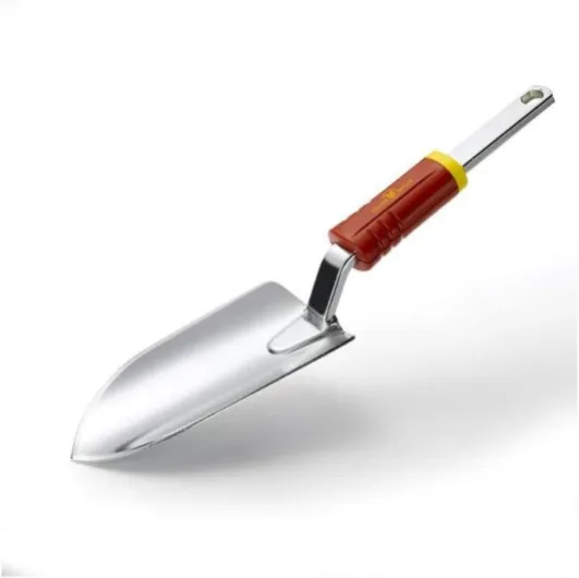 41u-jmFJKJL._AC_SL1000_