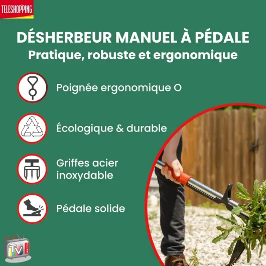 61FYyCEv3pL._AC_SL1080_