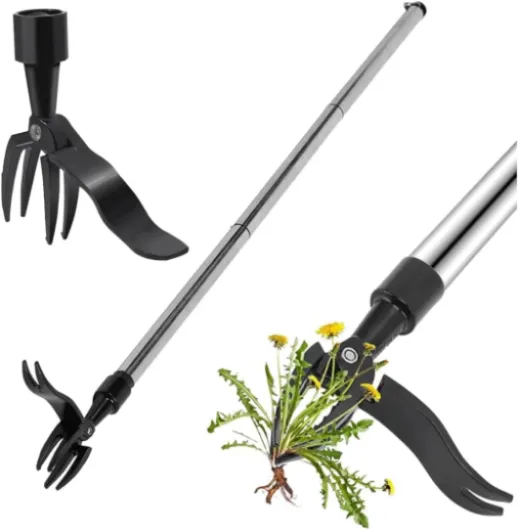 Extracteur Permettant D'économiser Rapidement du Travail, Désherbeur Manuel Debout, Outil Robuste pour Le Désherbage des Champs de Légumes de Jardin, fabriqué en Fonte, élimine