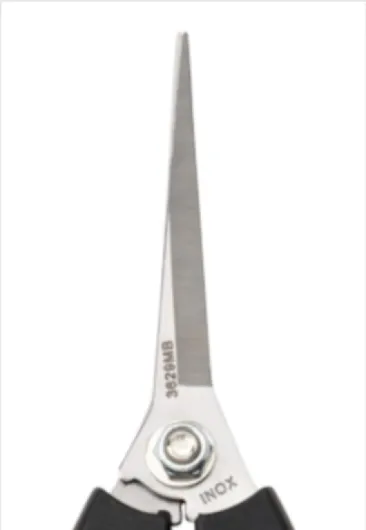 41BKV1o-iOL._AC_SL1000_