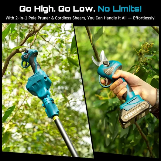 81I 0xxgnFL._AC_SL1500_