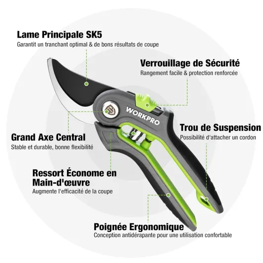 71L9BlNo0YL._SL1500_