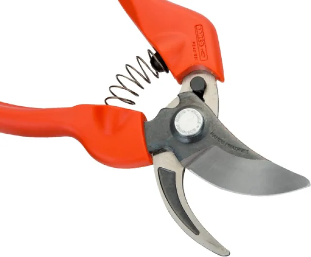 71M4RYefStL._AC_SL1500_