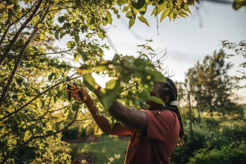 81-L SJbLVL._AC_SL1500_