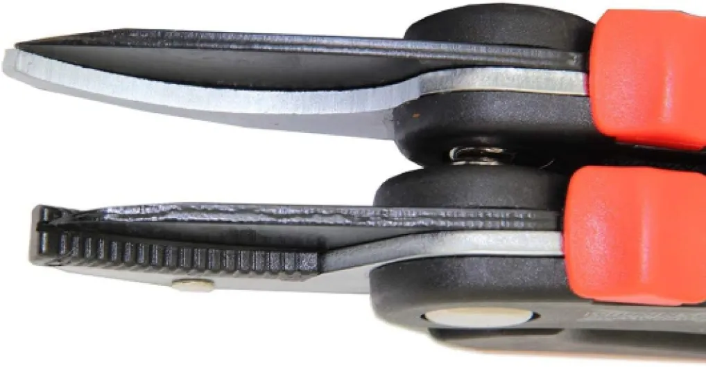 61YFEL8T0EL._AC_SL1000_