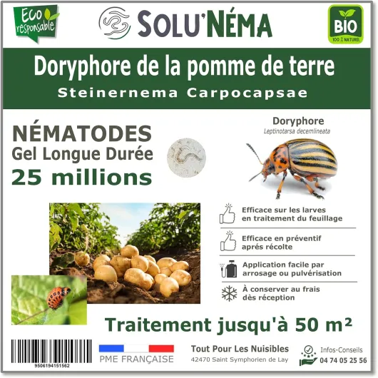 SOLUNEMA - Nématodes contre les doryphores de la pomme de terre - 25 Millions Longue Durée
