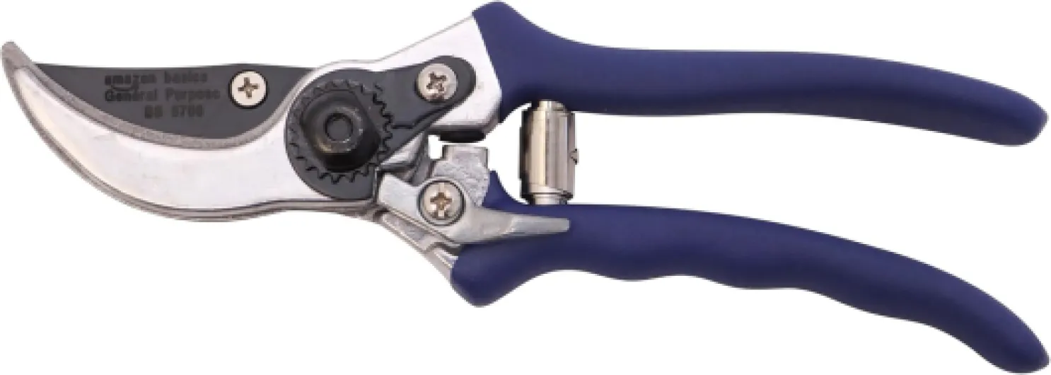 61Br53BMg0L._AC_SL1500_