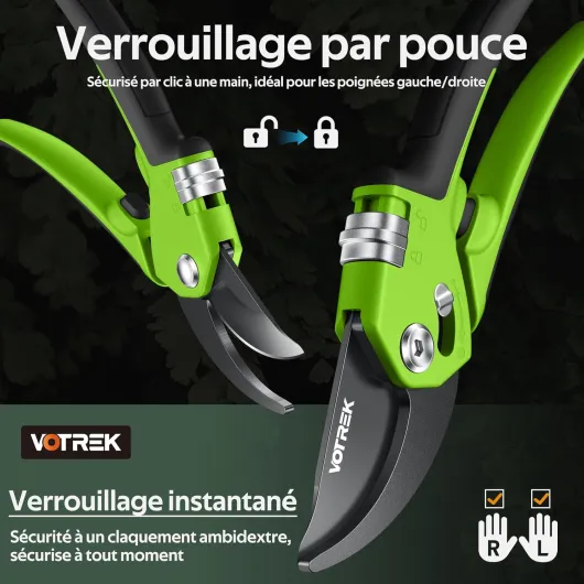 71a 7eYuv2L._AC_SL1500_