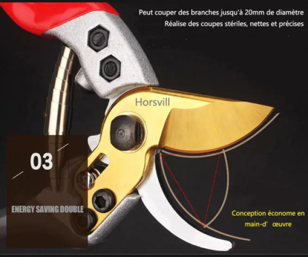 71UgfLZlr6L._AC_SL1500_