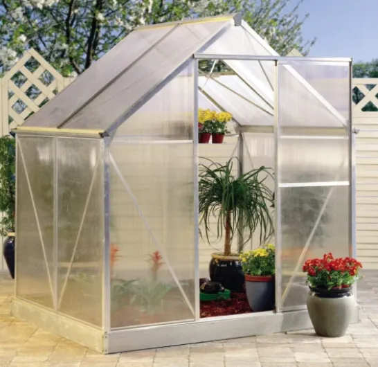 ACD - ACD - Serre en polycabornate Basic 300 2,99 m²