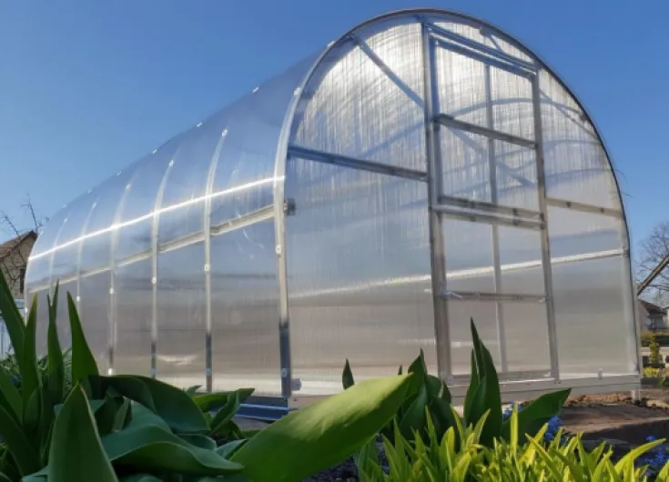 614TJoPCHGL._AC_SL1257_