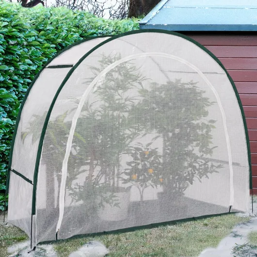 81XWIWnxBnL._AC_SL1440_