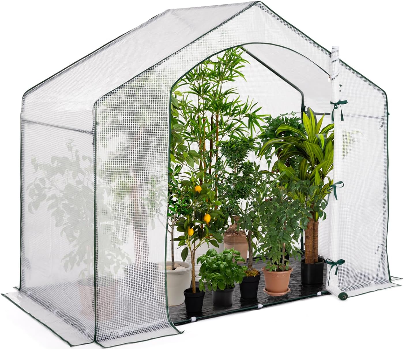 Serre d'hivernage Maison 200 x 80 x 160 cm Balcon et terrasse