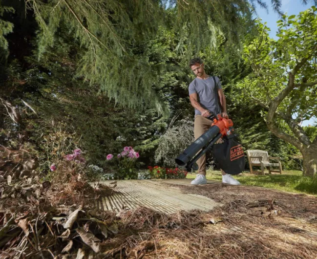 A1ufZZBzZyL._AC_SL1500_