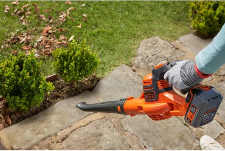 81JR8cKqfxL._AC_SL1500_