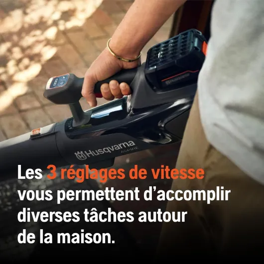 71Cb-etDSAL._AC_SL1500_